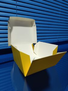 Caja-plegadiza-cuadrada-abierta-lateral2