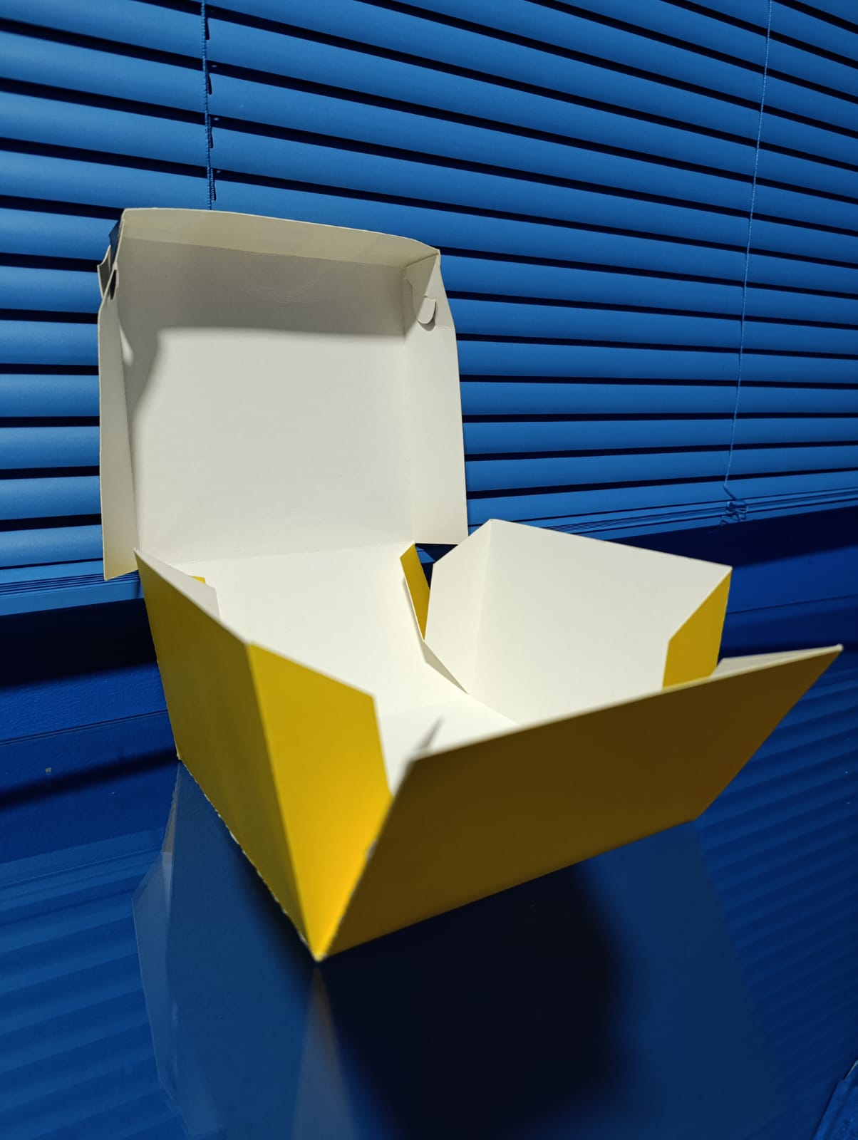 Caja-plegadiza-cuadrada-abierta-lateral2
